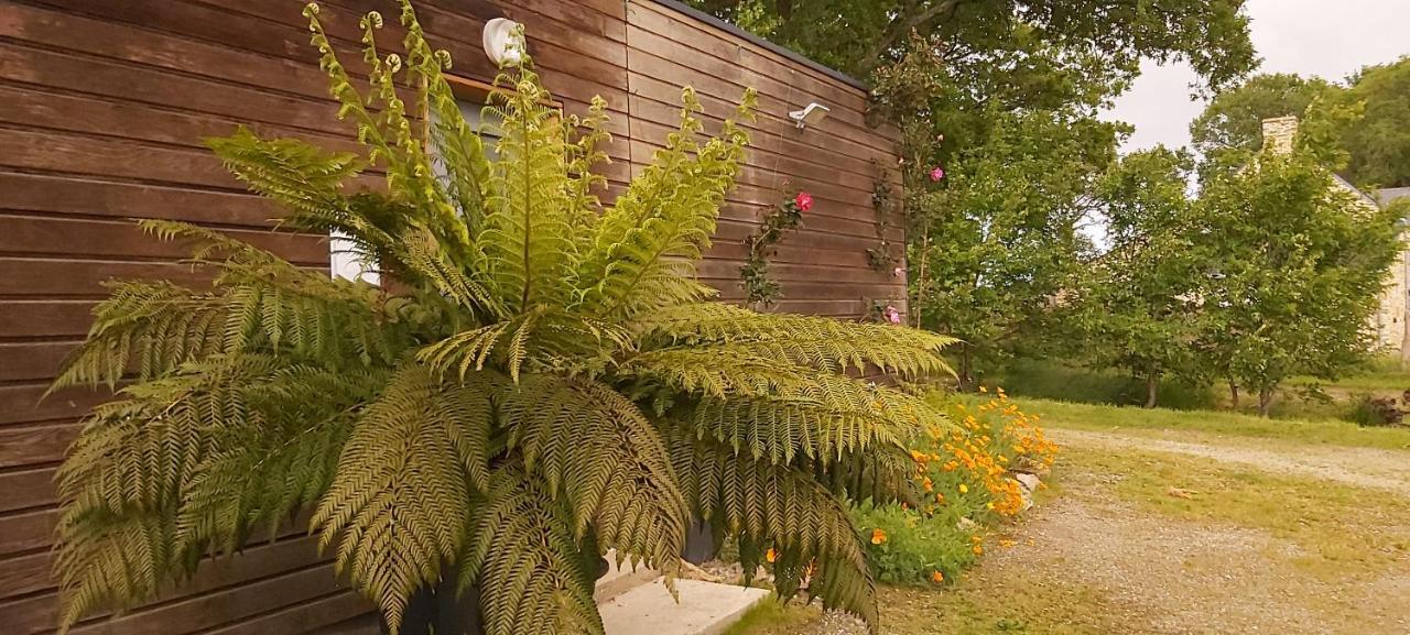 L'Oustaou Du Bodo Bed & Breakfast Ambon Exterior photo